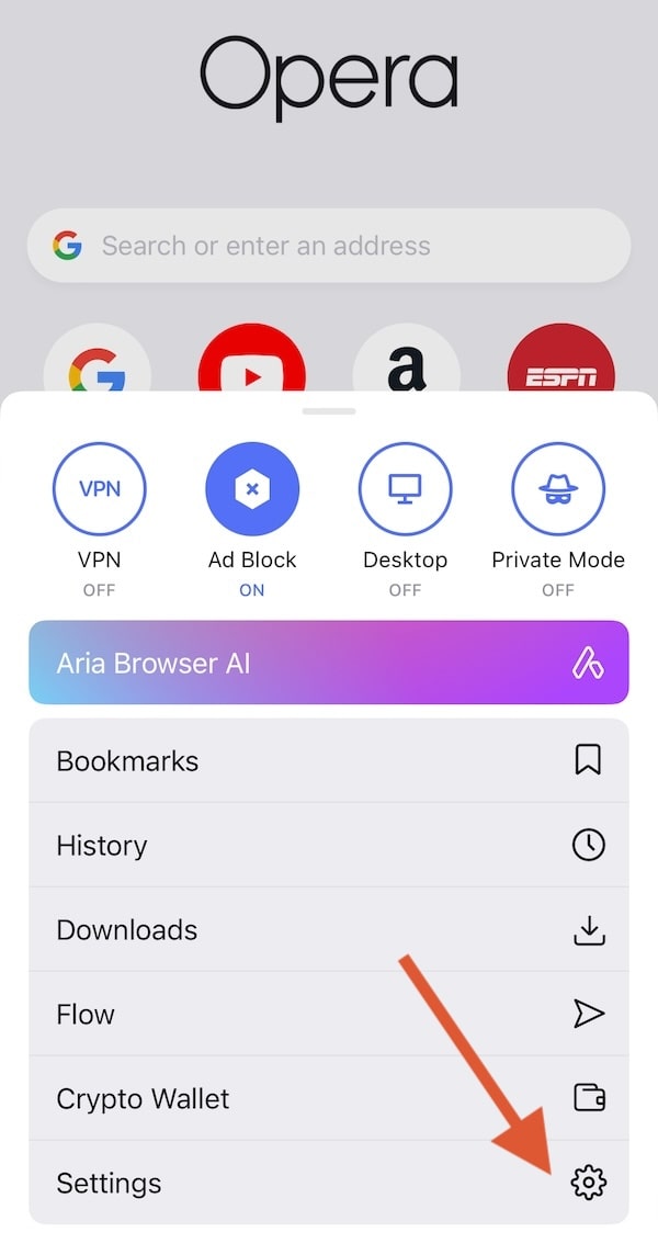 Opera iOS settings